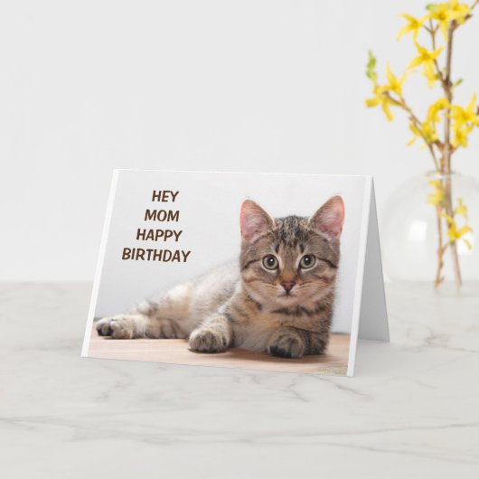 **MOM** MIJN FAVORIETE CAT LOVER'S GROTE DAG KAART (Gele Bloem)