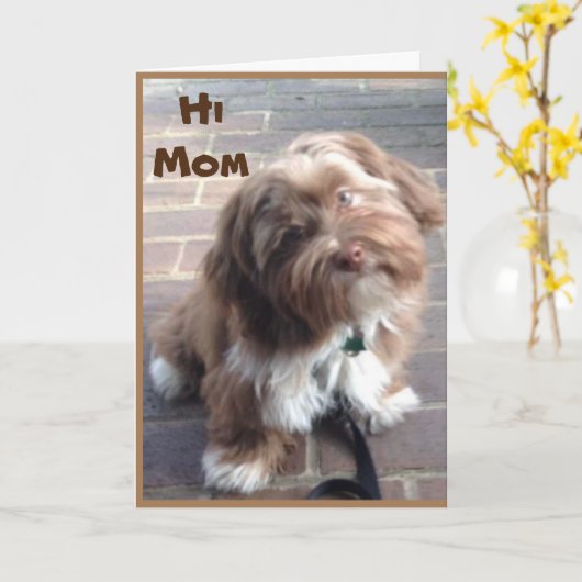 **MOM** OP UW GROTE DAG VAN JONGE KIND KAART (Gele Bloem)