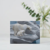 mom polar bear and baby briefkaart (Staand voorkant)