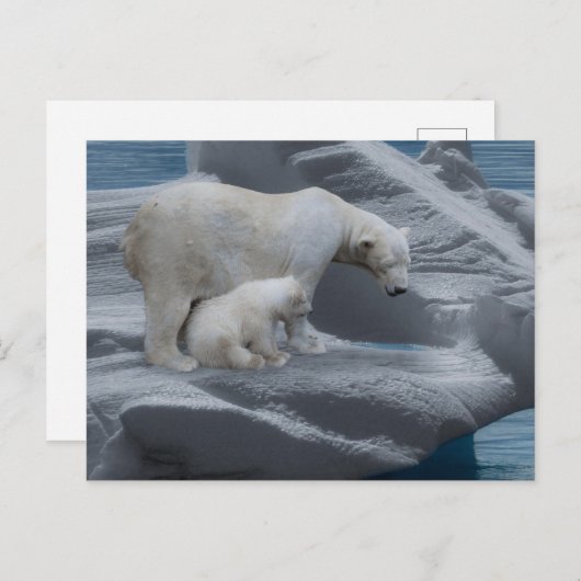 mom polar bear and baby briefkaart (Voorkant / Achterkant)