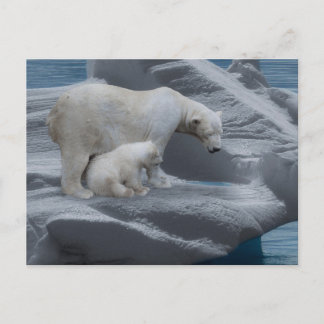 mom polar bear and baby briefkaart