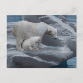 mom polar bear and baby briefkaart (Voorkant)