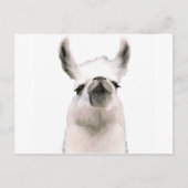 Moma Llama Briefkaart (Voorkant)
