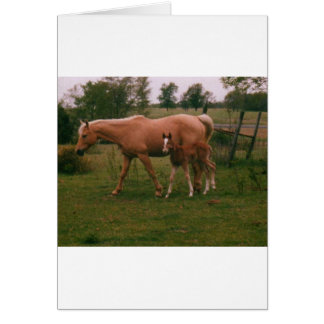Moma paard en baby paard