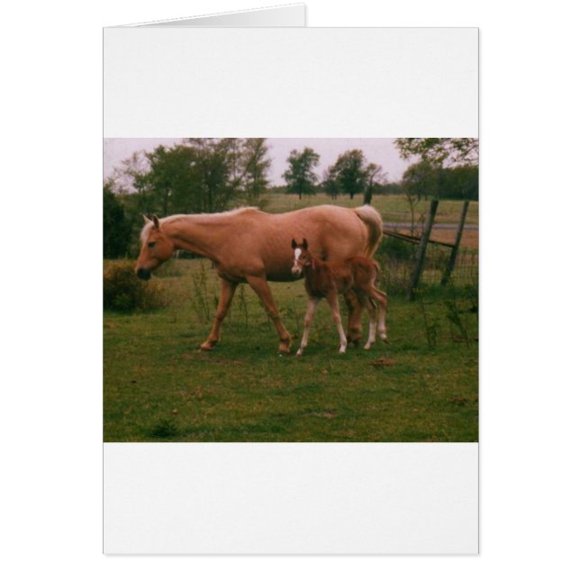 Moma paard en baby paard (Voorkant)