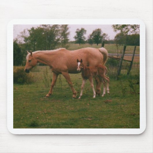 Moma paard en baby paard muismat (Voorkant)