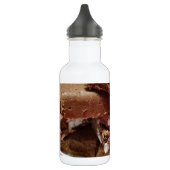 momcherrymarshmallowfudge waterfles (Links)