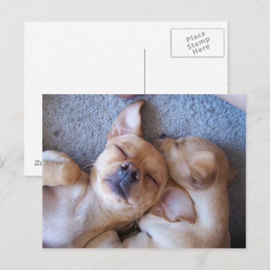 MOMENT BRIEFKAART (Voorkant / Achterkant)