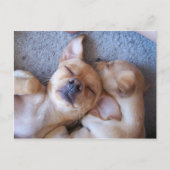 MOMENT BRIEFKAART (Voorkant)