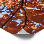 Moment van Herfst Zen Poster (Hoek)
