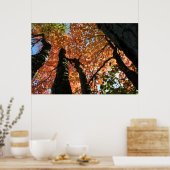 Moment van Herfst Zen Poster (Keuken)