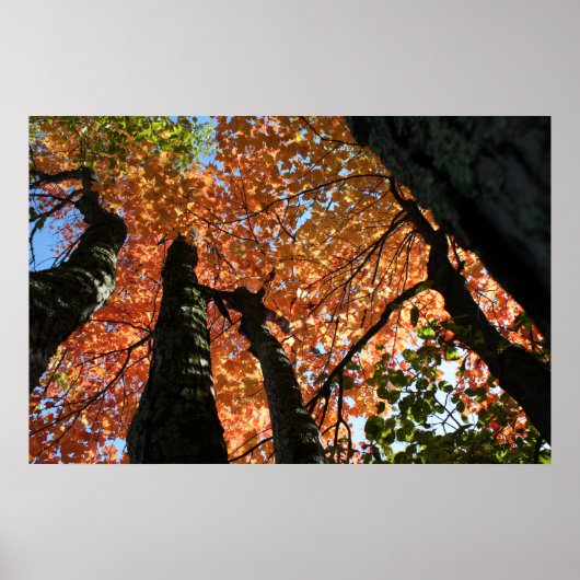 Moment van Herfst Zen Poster (Voorkant)
