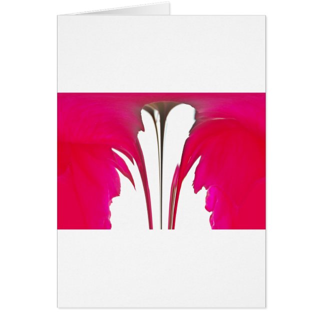 Moment vastgelegd: een rode rozenblaadje elegantie (Voorkant)