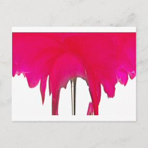 Moment vastgelegd: een rode rozenblaadje elegantie briefkaart