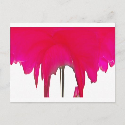 Moment vastgelegd: een rode rozenblaadje elegantie briefkaart (Voorkant)