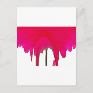 Moment vastgelegd: een rode rozenblaadje elegantie briefkaart