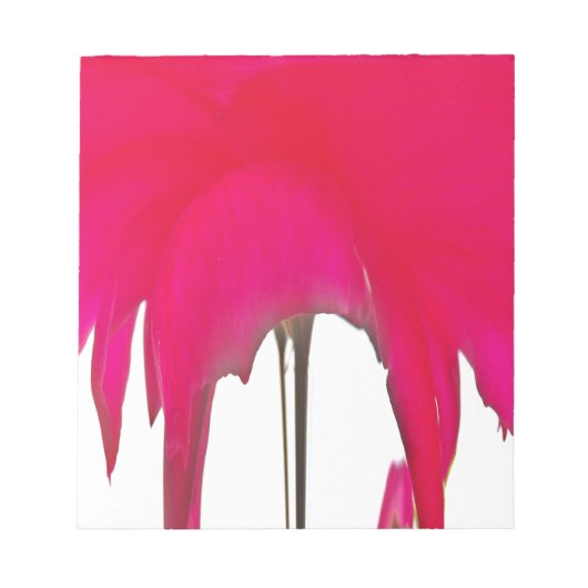 Moment vastgelegd: een rode rozenblaadje elegantie notitieblok (Voorkant)