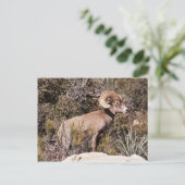 Momentaire pauze briefkaart (Staand voorkant)