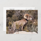 Momentaire pauze briefkaart (Voorkant / Achterkant)