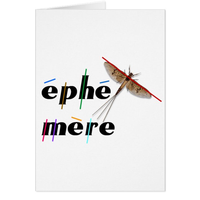 momentane ephemeer (Voorkant)