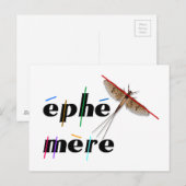 momentane ephemeer briefkaart (Voorkant / Achterkant)