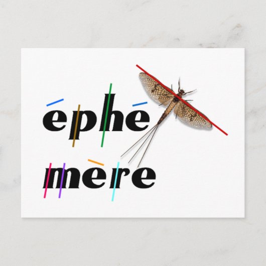 momentane ephemeer briefkaart (Voorkant)