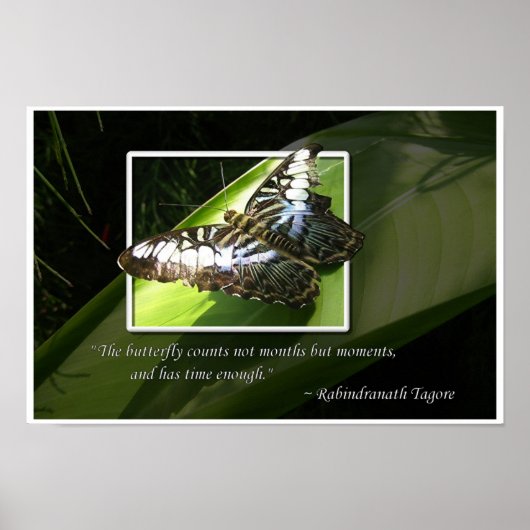 Momenten in de tijd poster (Voorkant)