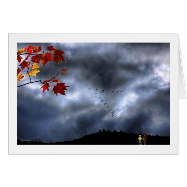 Momenten van het Wonder (Voorkant Horizontaal)