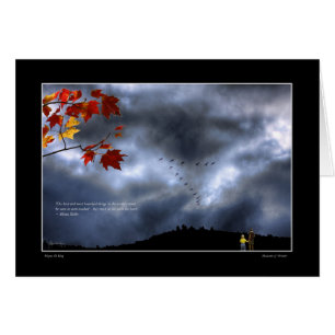 Momenten van verwondering