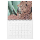 Momentopnamen Kalender (Mar 2027)