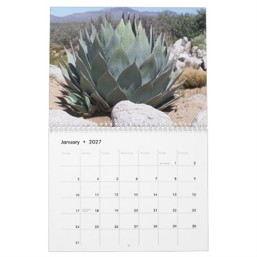 Momentopnamen Kalender (Jan 2027)