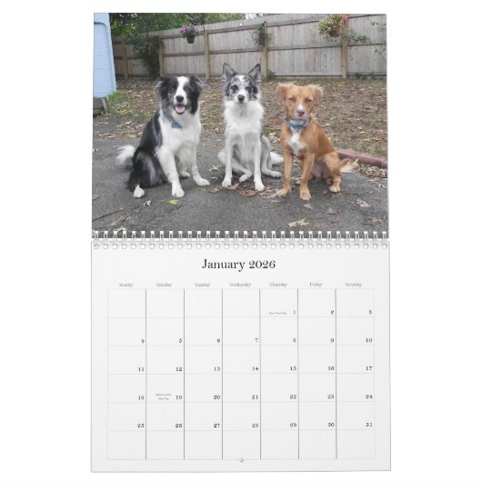 Momentopnamen van de kalender van het Boerderij Fu (Jan 2026)