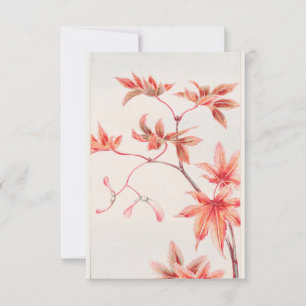 Momiji Maple Tree met bladeren en zaden van Megata Kaart