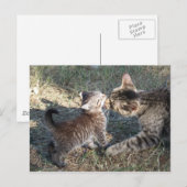 Momma cleans Baby Briefkaart (Voorkant / Achterkant)