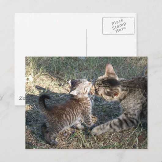 Momma cleans Baby Briefkaart (Voorkant / Achterkant)