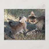 Momma cleans Baby Briefkaart (Voorkant)