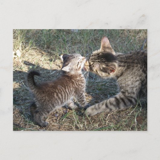 Momma cleans Baby Briefkaart (Voorkant)