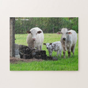 Momma Cow en Calf Puzzle Legpuzzel