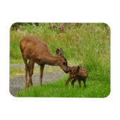 Momma Deer en haar Newborn Fawn Magneet (Horizontaal)