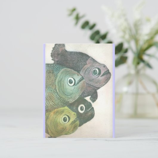 momma dont dans briefkaart (Staand voorkant)