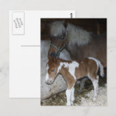 Momma en Baby Briefkaart (Voorkant / Achterkant)