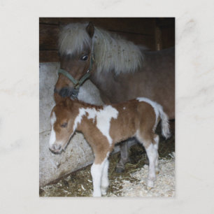 Momma en Baby Briefkaart