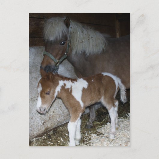 Momma en Baby Briefkaart (Voorkant)