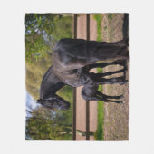 Momma en Baby Horse Fleece Deken (Voorkant)