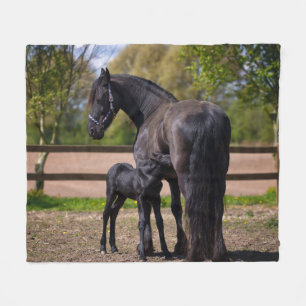 Momma en Baby Horse Fleece Deken