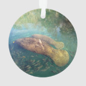 Momma en Baby Manatee - Acryl Ornament (achterkant)