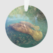 Momma en Baby Manatee - Acryl Ornament (voorkant)