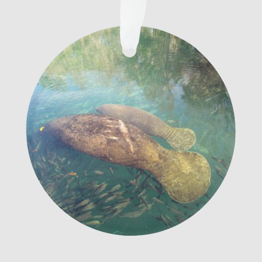 Momma en Baby Manatee - Acryl Ornament (voorkant)