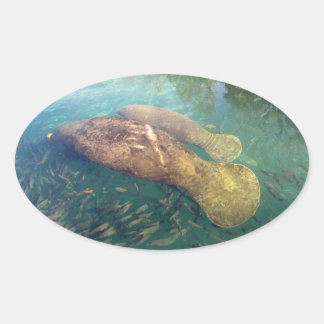 Momma en Baby Manatee Stickers