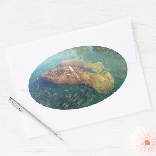 Momma en Baby Manatee Stickers (Envelop)